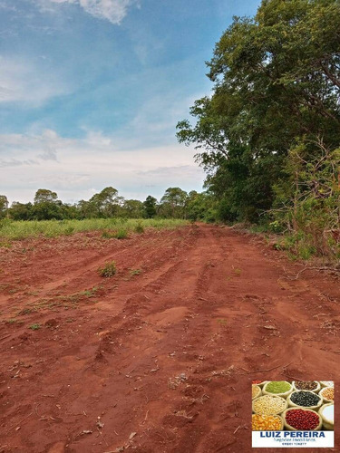 Fazenda À Venda Em Formoso Do Araguaia-to-de 400 Alqueirões (dupla Aptidão) - 1604