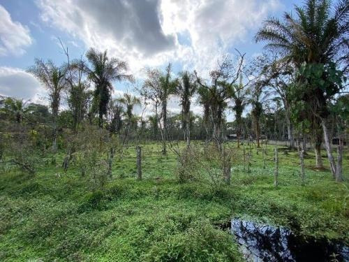 Imagem 3 de 8 de Terreno De Chácara De 7 Mil Metros Itanhaém Litoral Sul Sp