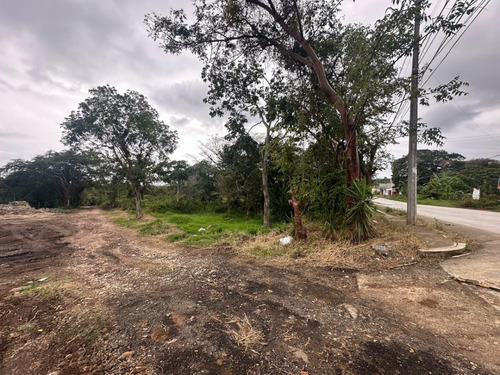 Terreno En Venta A Orilla De Carretera, Coatepec Veracruz, Ubicación Privilegiada Oportunidad De Inversión