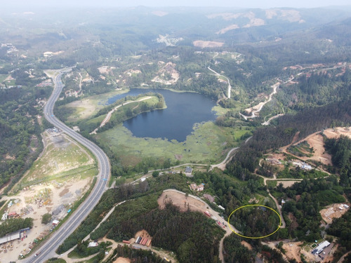 Parcela 5000 M2 A 12 Km De Concepcion
