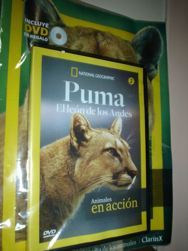 Video Dvd El Leon De Los Andes Puma N. G. Barrilete Animal 