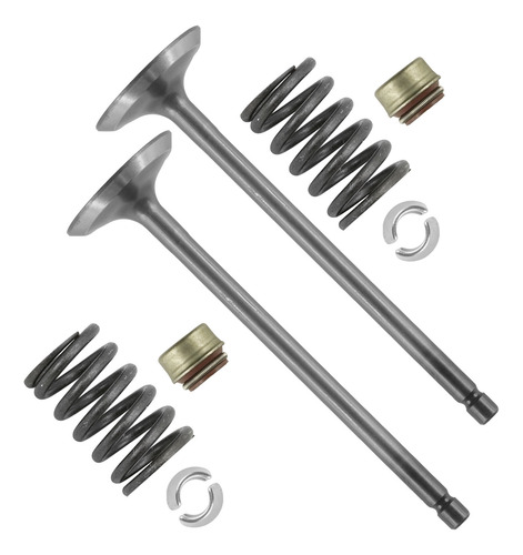 Caltric 0809-229 0809-040 0809-231 0809-233 Exhaust Valv Cch