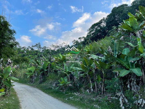 Imagem 30 de 30 de Chácara, Area Rural, Pedro De Toledo - R$ 279 Mil, Cod: 190 - V190