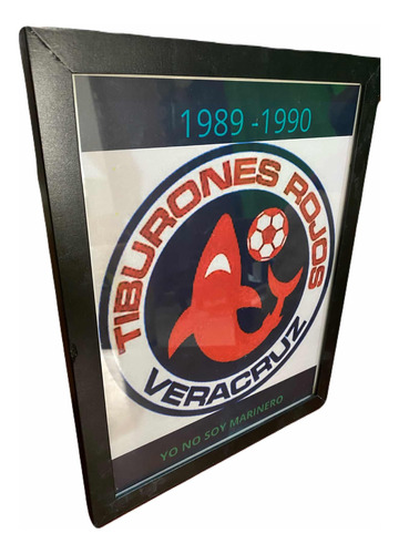 Cuadro Decorativo Del Veracruz Del Recuerdo 1989-1990 Regres