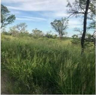 Imagen 10 de 18 de Venta Campo Mixto En Santiago Del Estero