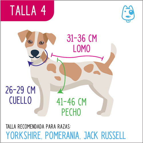 Imagen 6 de 6 de Coleccion Toda Ocasión Para Perrita Talla 4