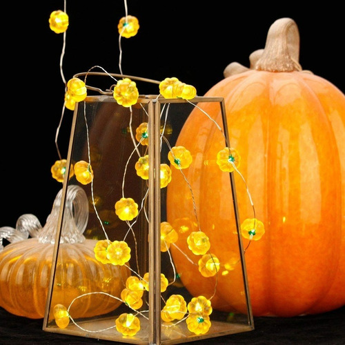 Serie Mini Calabazas Halloween Día Muertos 20 Luces Led 2 Mt