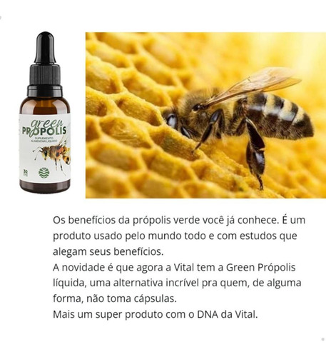 Green Própolis Verde Liquido 30ml Vital Atman Sabor Natural