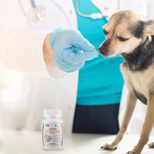 Kit Piel Y Pelo Dog Ms Aceite Salmon 250ml + Derma Care 60ts