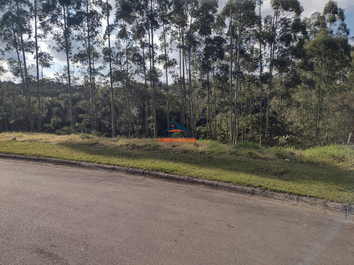 Imagem 1 de 3 de Terreno - Te00059 - 69827064