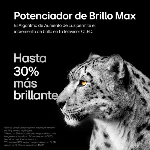Pantalla LG Oled Evo 4k Smart Tv 2024 Thinq Ai Oled65c4psa