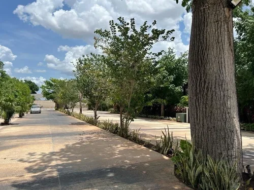 Casa(b) En Venta En Navita, Santa Gertrudis Copó.