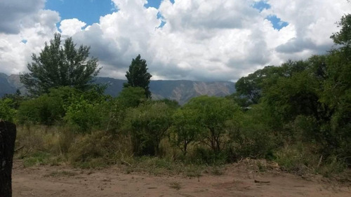 Imagen 2 de 4 de Lote En Venta De 5000m2 Ubicado En Cerro De Oro