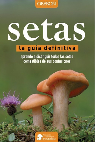 Libro Setas, Guia Definitiva - Vv.aa