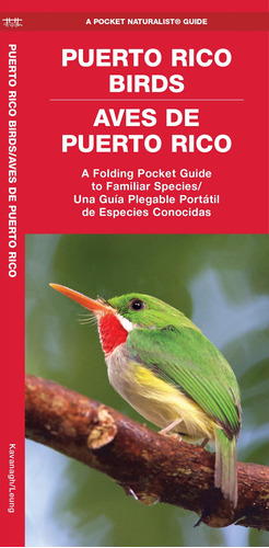 Book : Puerto Rico Birds/aves De Puerto Rico (bilingual) A.