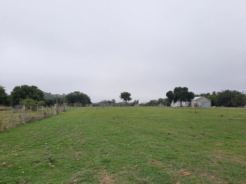 Buen Predio Rural, 24 Héctareas A 600 M Ruta 5, Km 50.