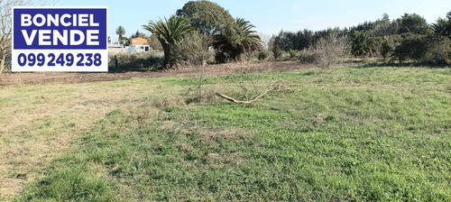 Amplio Terreno En Excelente Ubicación