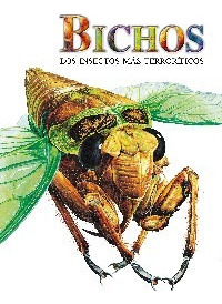 Bichos Los Insectos Mas Terrorificos 