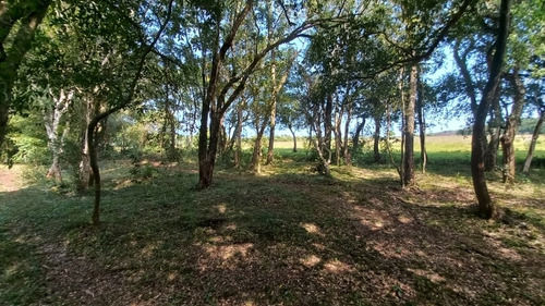 Imagen 6 de 17 de Vendo 4 Lotes Con Arroyo