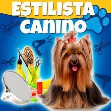 Aprende Estilista Canino Profesional, Estetica Canina Videos