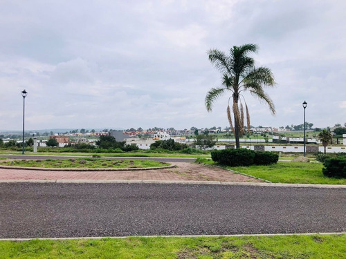 Imagen 7 de 8 de Venta De Terreno, Fraccionamiento Zirándaro En San Miguel De