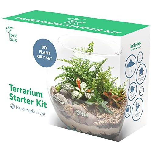 Kit De Terrario Grande Caja De Regalo Aroma | Suministr...