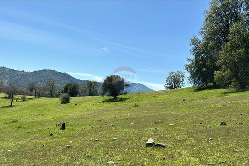Terreno Con Hermosa Vista