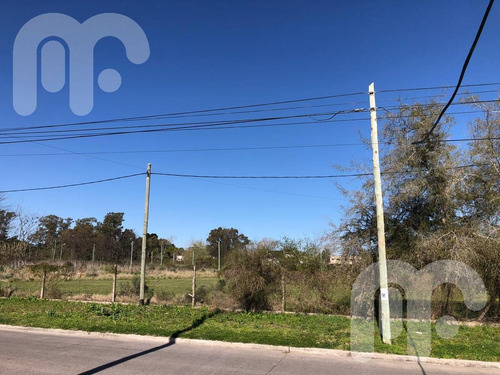 Imagen 4 de 11 de Venta Lote Gonnet
