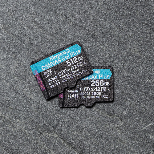 Memoria Flash Canvas Go! Plus 512 Gb Microsd Uhs-i Clase 10