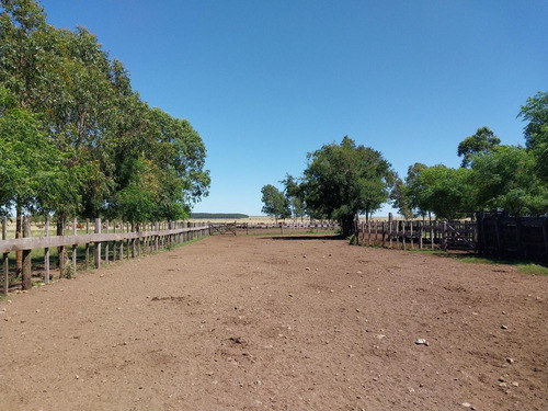 Excelente Estancia Ganadera 2881 Hectareas