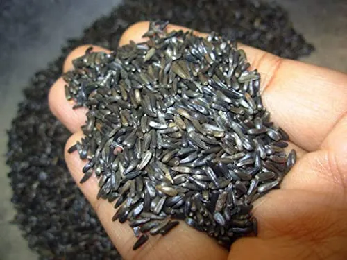 Semilla De Níger//ramtil/guizotia Abyssinica (250 G)