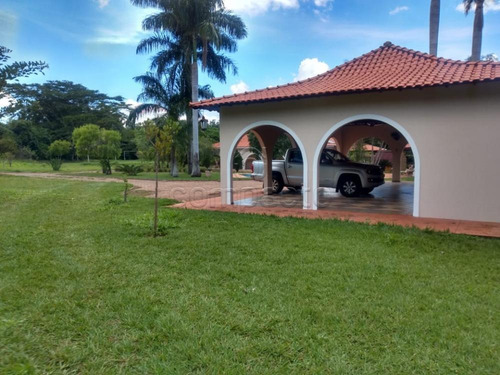 Imagem 5 de 10 de Chácaras - Ref: L16620