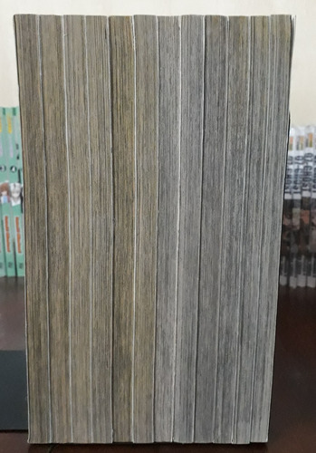 Mangá Ga-rei