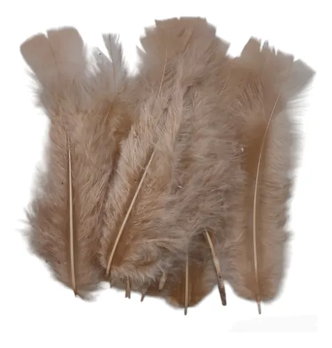 Pluma Gallo Grande X50 Unds Souvenir Atrapasueños Disfraces