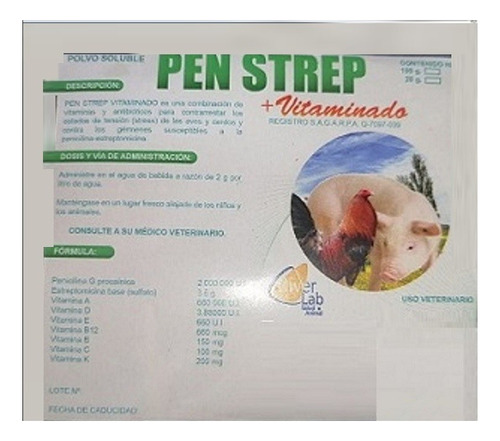 Pen Strep + Vitaminado 100 Gr  Riverlab