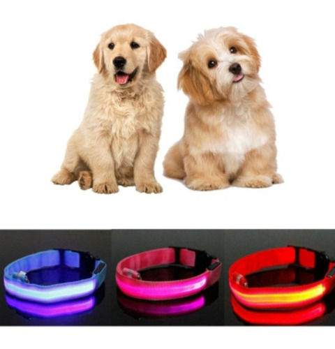 Collares De Luz Led Para Mascotas