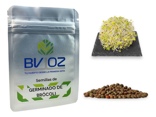 Semillas De Brócoli Para Germinado Casero