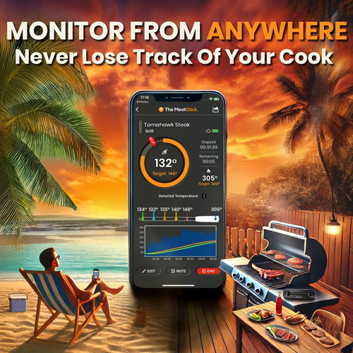 Termómetro Inalámbrico Para Carne Con Wifi Y Bluetooth