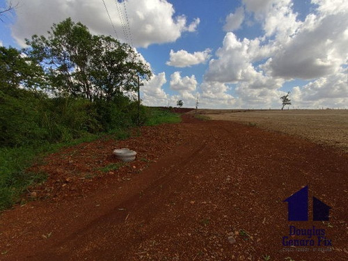 Imagem 4 de 16 de Rural Chacara - 775286-v