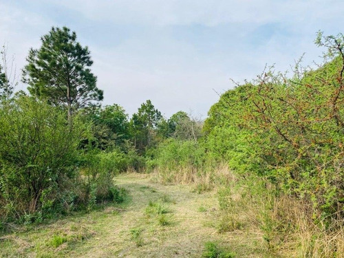 Imagen 6 de 8 de Venta De 4 Hectareas 7000m2 Sobre Ruta N5 Ciudad Parque Los Reartes - Tlc0644