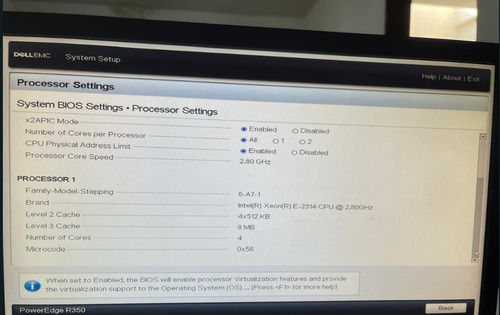 Dell Poweredge R-350, Xeon E-2314, 480gb Ssd X 2 , 8 Gb Ram