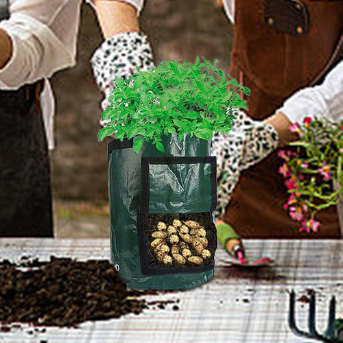 Bolsa Para De , Bolsa Para De Patatas, 7 Galones 30x35cm
