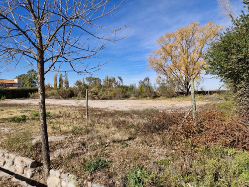 Lotes En Venta En Barrio El Casco, Vistalba, Luján De Cuyo