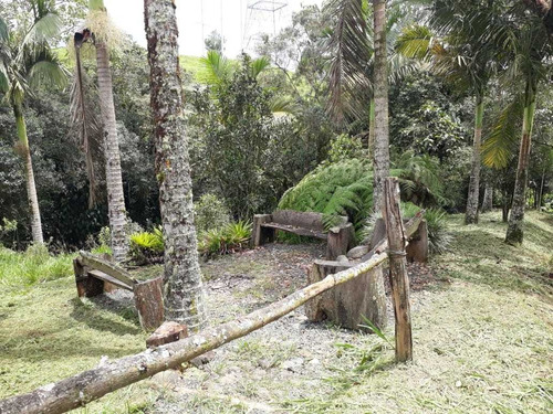 Imagen 16 de 16 de Se Vende Hostal En Filandia - Quindío