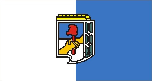 Bandera Justicialista Peronista 30 X 45 Oficial Política