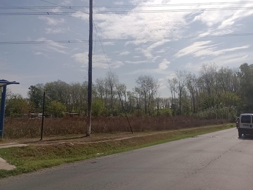 Imagen 5 de 6 de Se Vende Hectárea En Pilar, Por La Entrada De Casuarinas