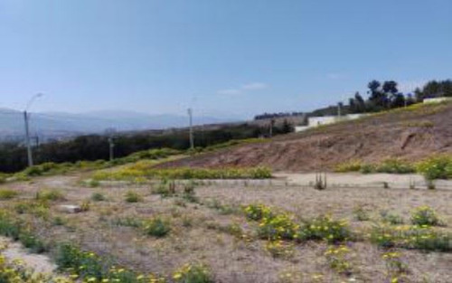 Industrial En Venta En Puchuncaví