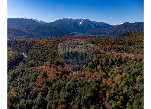 House For Sale In Huilo Huilo Plot - Panguipulli