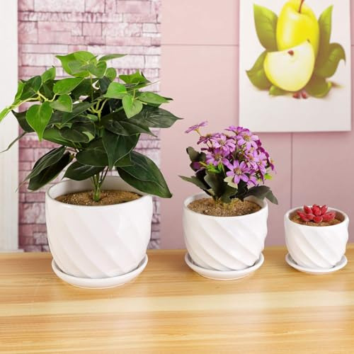 Conjunto De 3 Macetas De Cerámica - Macetas De Flores Interi