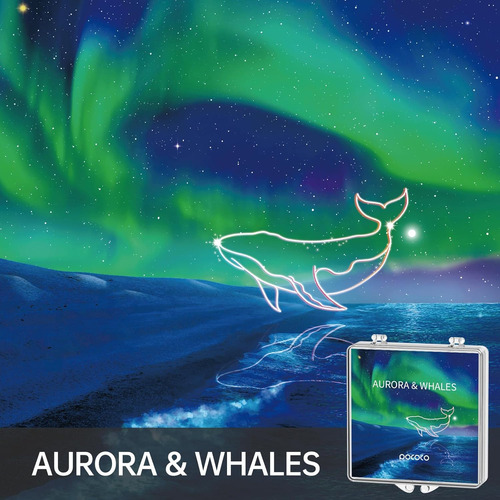 Discos De Proyección Pococo Aurora Y Deep Sea
